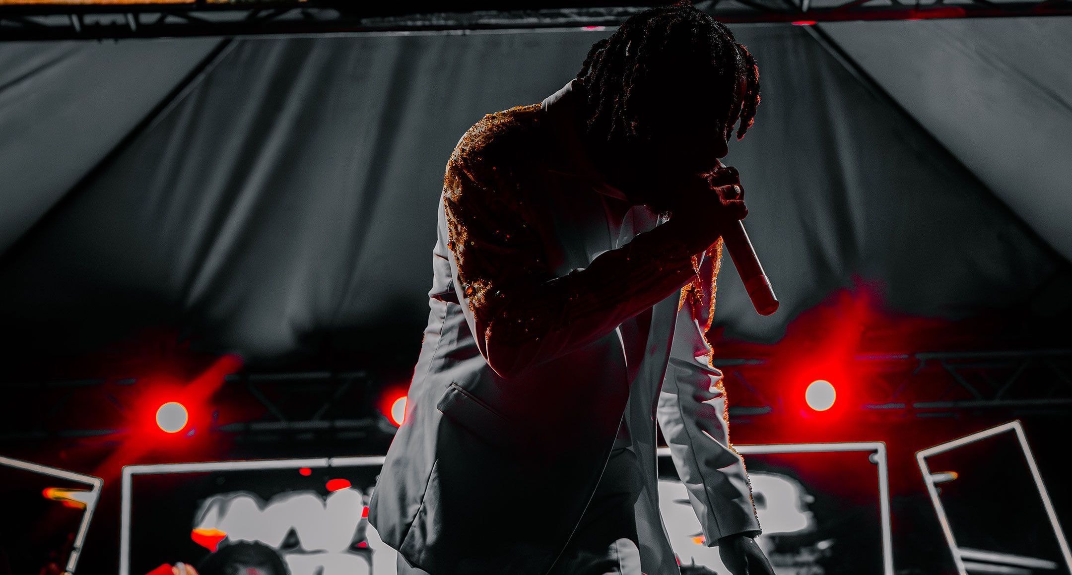 DSM Music Group — artist performing on stage